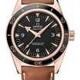 Omega Seamaster 300 Master Co-axial 41mm image 0 thumbnail