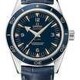 Omega Seamaster 300 Master Co-axial 41mm Blue Dial on Strap image 0 thumbnail