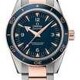 Seamaster 300 Omega Master Co-axial 41mm Blue Dial on Two Tone Bracelet image 0 thumbnail