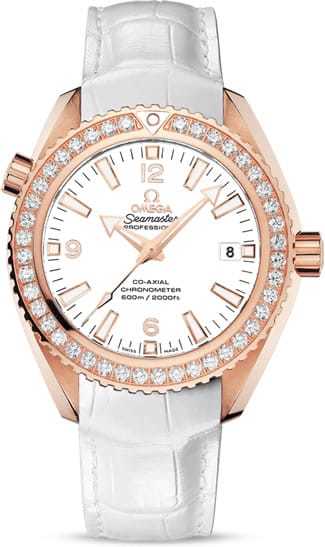 Planet Ocean 600M Omega Co-axial 42mm 232.58.42.21.04.001