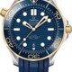 Omega Seamaster Diver 300M Co-Axial Master Chronometer Steel Yellow Gold on Strap image 0 thumbnail