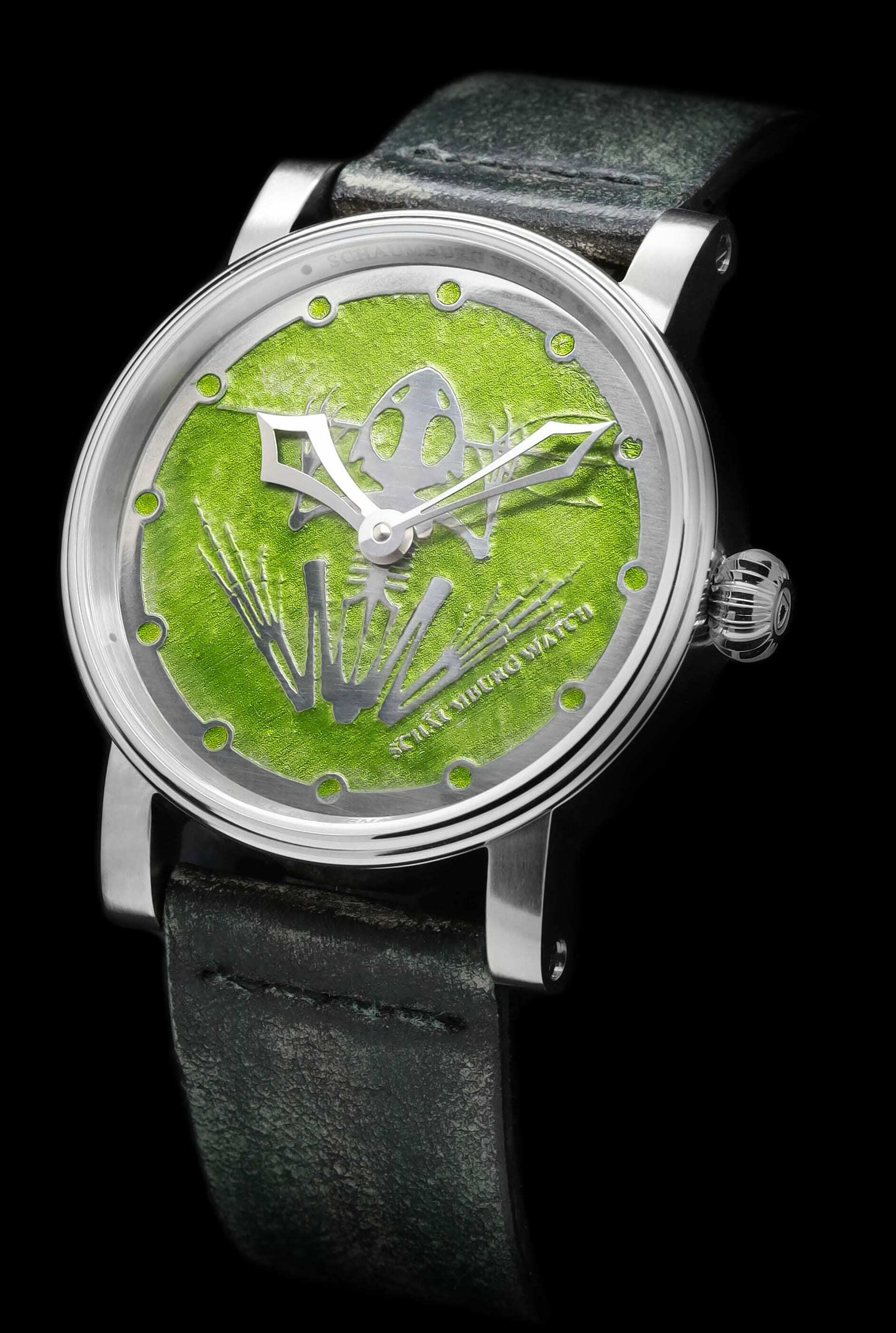 Schaumburg Watch PaleoFrog