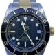 Tudor Black Bay Steel & Gold 79733N image 0 thumbnail