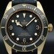 Tudor Heritage Black Bay 79250BA image 0 thumbnail