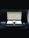 Patek Philippe 5227R-001 TIFFANY & CO image 9 thumbnail