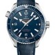 Omega Planet Ocean 600M Co‑Axial Master Chronometer 39.5 mm image 0 thumbnail