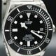 Tudor Pelagos 25600TN image 0 thumbnail