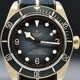 Tudor Heritage Black Bay 79250BA image 0 thumbnail