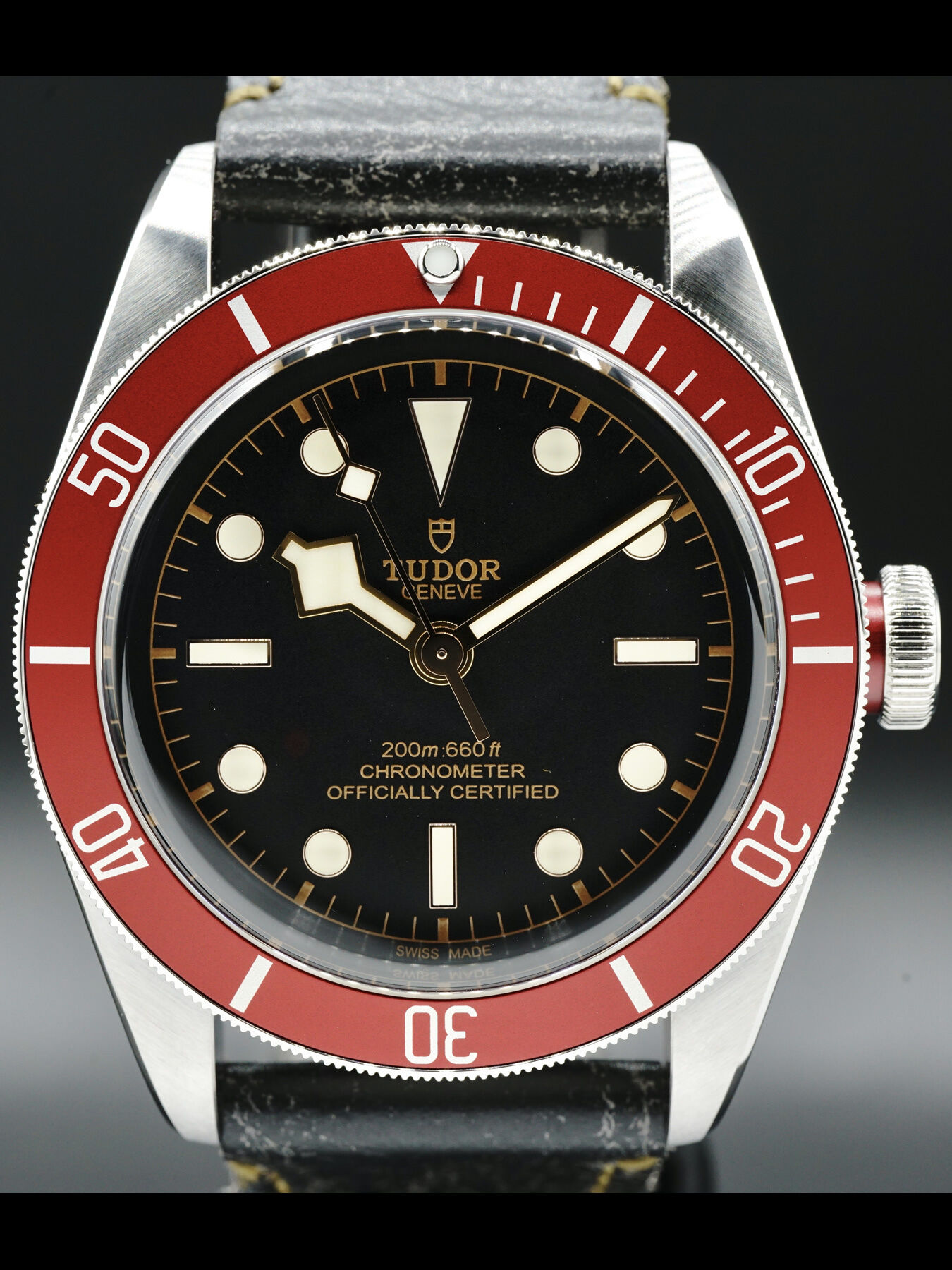 Tudor Black Bay 79230R