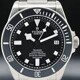 Tudor Pelagos Titanium Chronometer Automatic Black Dial 25600TN image 0 thumbnail