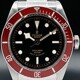 Tudor Heritage Black Bay 79220R image 0 thumbnail