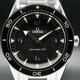 Omega Seamaster 300 Master Chronometer 234.30.41.21.01.001 image 0 thumbnail