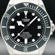 Tudor Pelagos 25600TN image 0 thumbnail