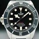 Tudor Pelagos LHD 25610TNL image 0 thumbnail