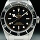 Tudor Black Bay Black Bezel Stainless Steel 79230N image 0 thumbnail