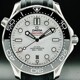 Omega Seamaster Diver 300M 210.32.42.20.04.001 image 0 thumbnail