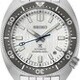 Seiko SPB333 Watchmaking 110th Anniversary Seiko Prospex Save the Ocean Limited Edition White Birch image 0 thumbnail