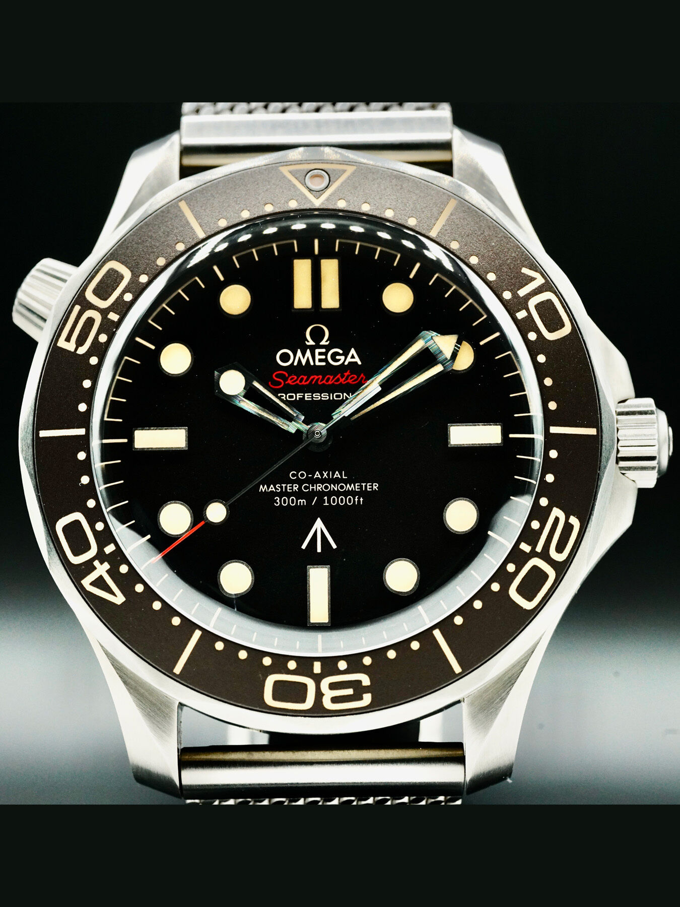 Omega Seamaster Diver 300 007 Edition 210.90.42.20.01.001