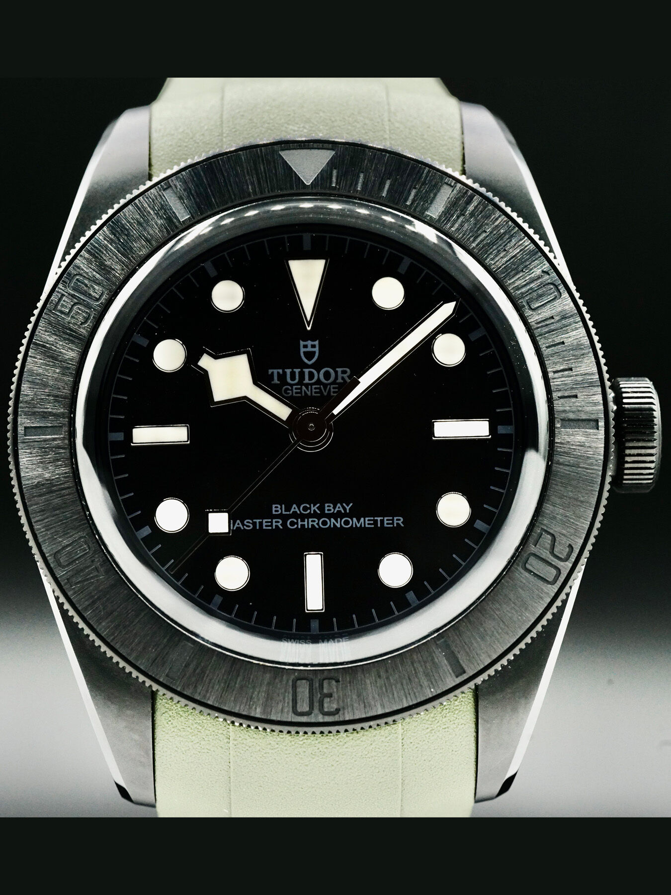 Tudor Black Bay 79210CNU
