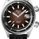 Ball Engineer Master II Diver Chronometer 42mm Brown Dial Rainbow Tubes DM2280A-P3C-BRR image 0 thumbnail