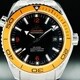 Omega 232.30.46.21.01.002 Seamaster Planet Ocean image 0 thumbnail