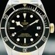 Tudor 79733N Black Bay Steel & Gold image 0 thumbnail