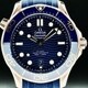 Omega Seamaster Diver 300 Master Chronometer 42mm 210.62.42.20.03.001 image 0 thumbnail