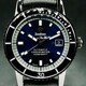 Zodiac Super Sea Wolf STP 1-11 ZO9595 image 0 thumbnail