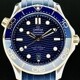 Omega 210.22.42.20.03.001 Seamaster Diver 300M Co-Axial Master Chronometer Steel Yellow Gold on Strap image 0 thumbnail