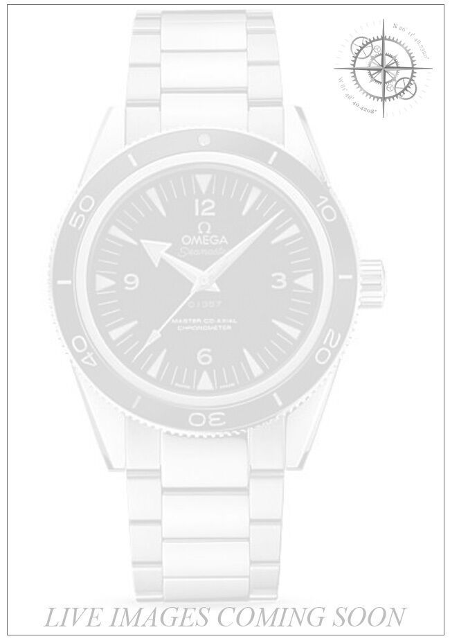Omega 233.90.41.21.03.002 Seamaster 300 Master Co-axial Platinum