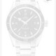 Omega 233.90.41.21.03.002 Seamaster 300 Master Co-axial Platinum image 0 thumbnail