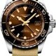 Longines Hydroconquest L3.790.4.66.2 GMT Sunray Brown Dial on NATO Strap image 0 thumbnail
