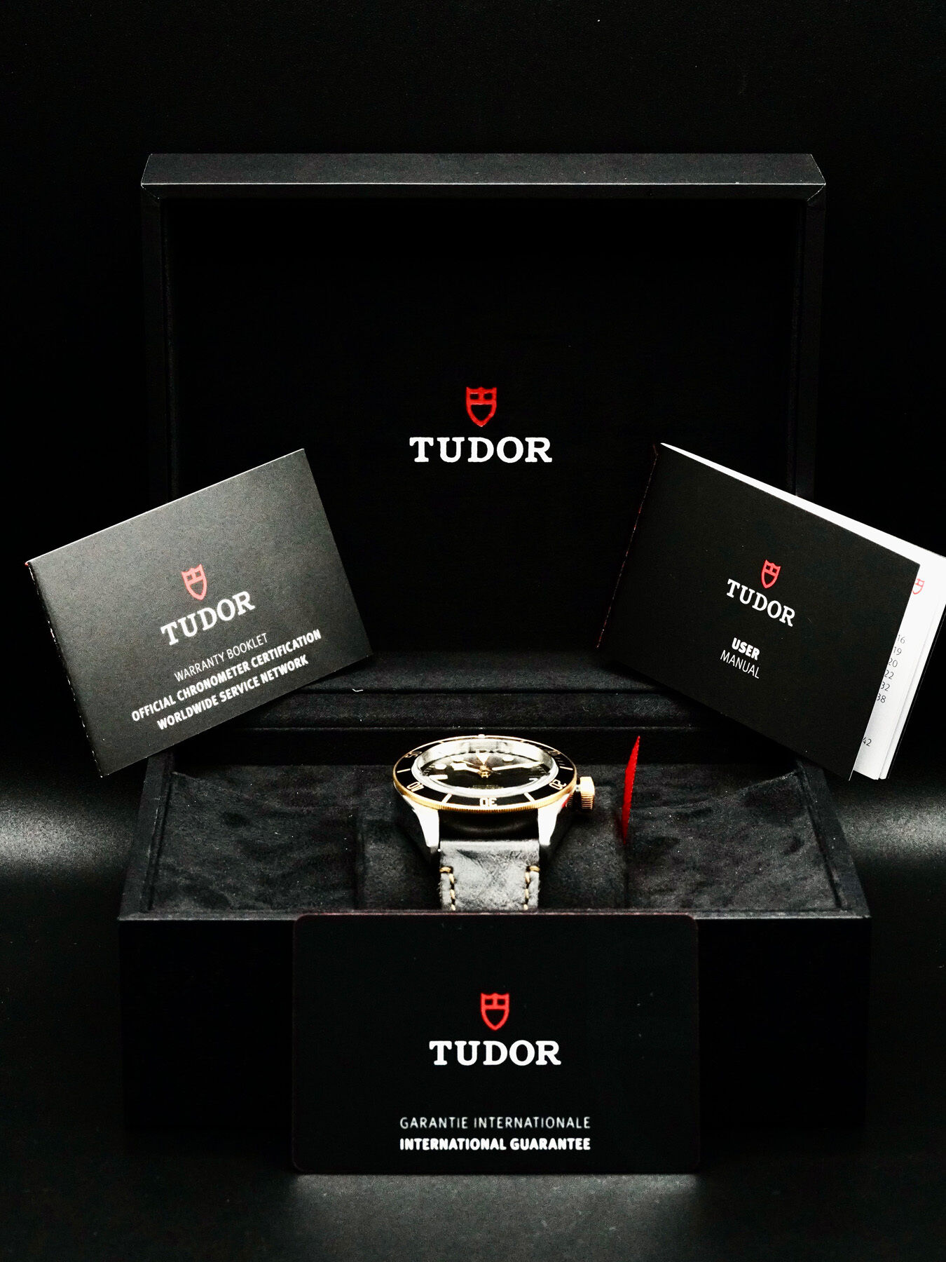 Tudor 79733N Black Bay Steel and Gold - Exquisite Timepieces