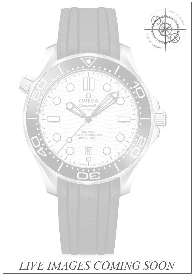 Omega 210.32.42.20.04.001 Seamaster 300M Diver White Dial