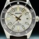 Seiko Prospex SLA066 1965 Diver's Watch Modern Re-interpretation Save the Ocean Limited Edition image 0 thumbnail
