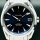 Omega 231.10.39.21.03.001 Aqua Terra Seamaster image 0 thumbnail