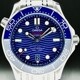 Omega 210.30.42.20.03.001 Seamaster Diver 300M Co-Axial Master Chronometer on Bracelet image 0 thumbnail