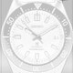 Seiko Prospex SPB213 Limited Edition image 0 thumbnail