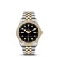 TUDOR Black Bay 36 S&G M79653-0005 image 0 thumbnail