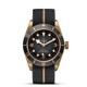 TUDOR Black Bay Bronze 43mm M79250BA-0002 image 0 thumbnail