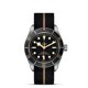 TUDOR Black Bay Fifty-Eight M79030N-0003 image 0 thumbnail