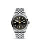 TUDOR Black Bay 36 M79640-0004 image 0 thumbnail