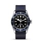 TUDOR Black Bay 41mm steel M79230B-0006 image 0 thumbnail