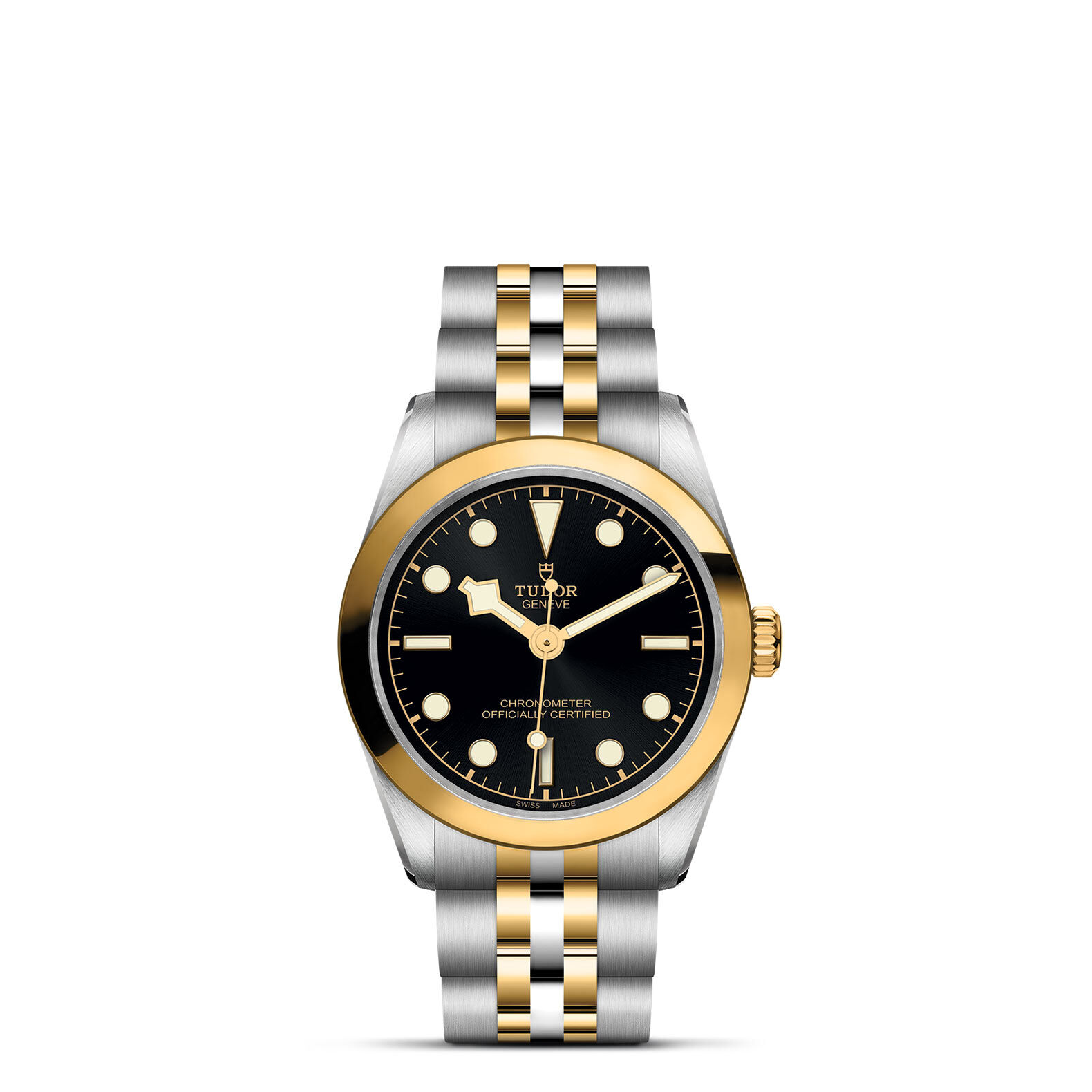 TUDOR Black Bay 31 S&G M79603-0001