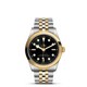 TUDOR Black Bay 36 S&G M79643-0001 image 0 thumbnail