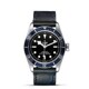 TUDOR Black Bay 41mm steel M79230B-0007 image 0 thumbnail