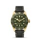 TUDOR Black Bay Fifty-Eight 18k M79018V-0001 image 0 thumbnail