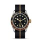 TUDOR Black Bay GMT S&G M79833MN-0004 image 0 thumbnail