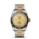 TUDOR Black Bay S&G 41mm steel and Gold M79733N-0004 image 0 thumbnail