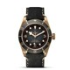 TUDOR Black Bay Bronze 43mm M79250BA-0001 image 0 thumbnail